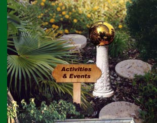 Author Activity and Events